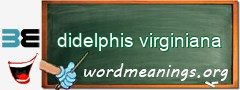 WordMeaning blackboard for didelphis virginiana